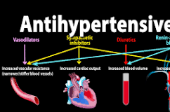 Anti Hypertensives