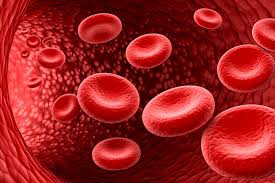 THROMBOCYTOPENIA