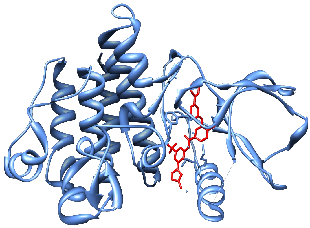 kinase inhibitor