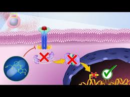 Janus kinase (JAK) inhibitor